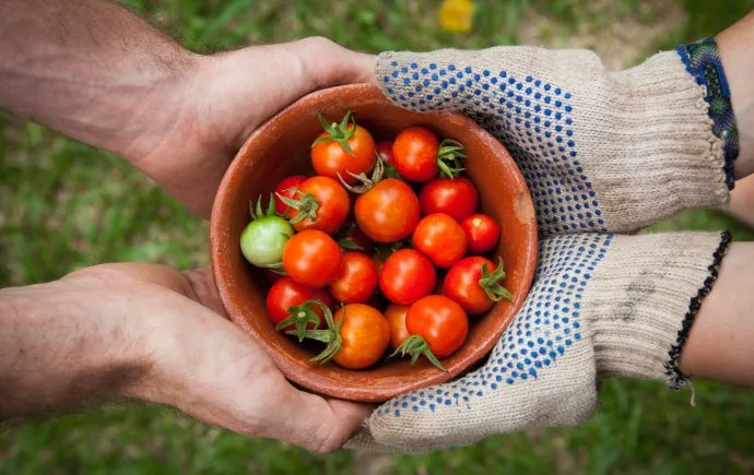 Our Changing Relationship With Food Unsplashed image