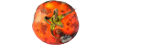 Fight Food Waste
